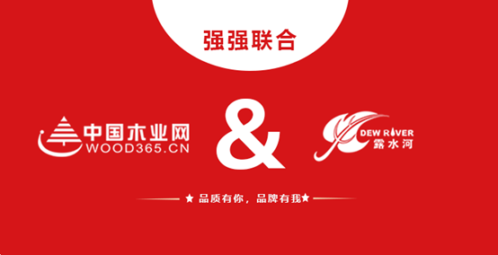 强强联合 球盟会体育和中国木业网达成战略合作